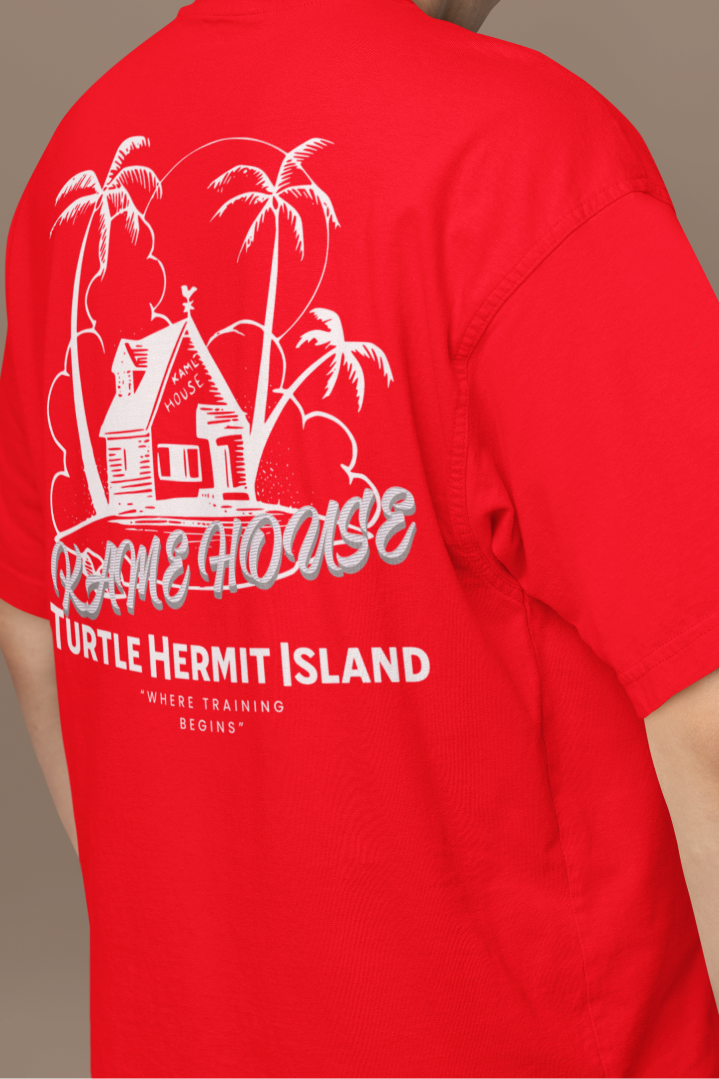 Kame House Oversized Tee – Turtle Hermit Island